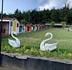 DÖKÜM HAYVAN ÜRÜNLER