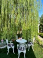 Bahçe sandalye masa takımı