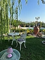 Bahçe sandalye masa takımı