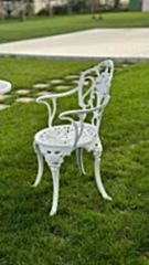 Döküm güllü kollu sandalye