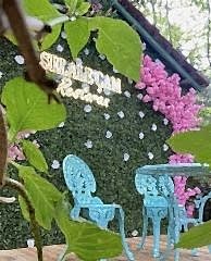 Turkuaz takım yavruağzı takımlar