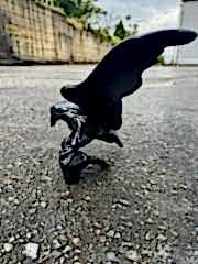 Kartal-biblo kanatlı aksesuar kartallar