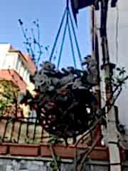 DÖKÜM SAKSI ZİNCİRLİ ASMALI