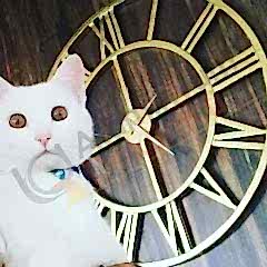 DÖKÜM SAAT-ANTİK SAAT-BÜYÜK SAAT