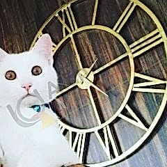 DÖKÜM SAAT-ANTİK SAAT-BÜYÜK SAAT